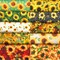 10 Pieces, Sunflower, 25x25cm,Quilting Fabric 100% Cotton Craft Fabric Bundle